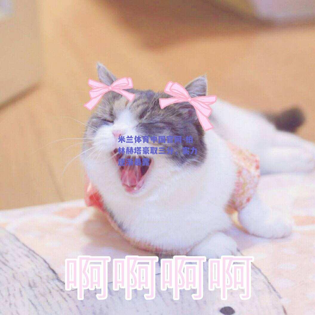 柏林赫塔豪取三分，实力逐渐暴露