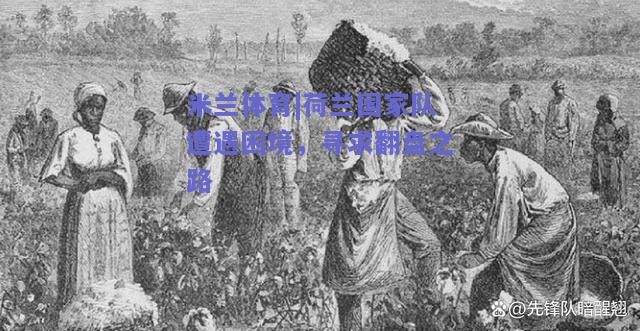 荷兰国家队遭遇困境，寻求翻盘之路